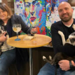 Somos dogfriendly, ven a disfrutar con tu mascota